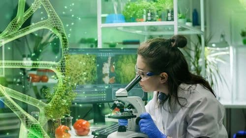 /uploads/small_biotechnology_banner_green_41678c8024.jpg